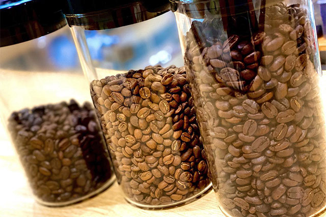 新鮮で高品質な生のコーヒー豆