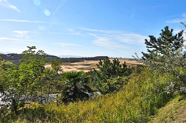 展望広場からの鳥取砂丘の眺め