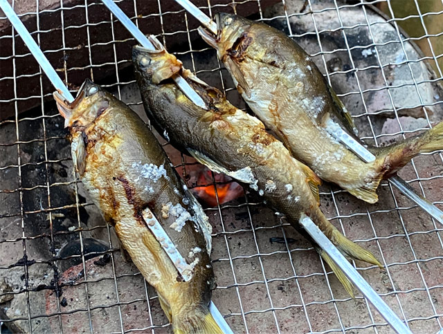 高津川の鮎の串焼き